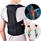 kit 2 Corretor Postural Cinta Lombar Ajustável Unissex Coluna kit 2 Corretor Postural Cinta Lombar Ajustável Unissex Coluna