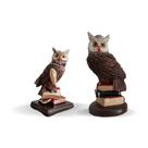 Kit 2 Corujas No Livro Espanta Pombo E Passarinhos Estatuetas Em Gesso - Várias Variedades