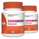 Kit 2 Cranberry 120 Cápsulas Extrato Seco Suplemento Original Fruta Natural Concentrado Vitamina