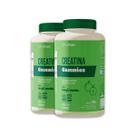 Kit 2 Creatina Gummies Clinicmais 60 Gomas Maça Verde Kit 2 Creatina Gummies Clinicmais 60 Gomas Maça Verde