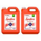 Kit 2 Desinfetante Lysoform Uso Geral Original 5l