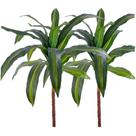 Kit 2 Dracena Artificial Variegata Dracaena Sem Vaso Decoração