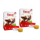 Kit 2 Encor Dog Suplemento Vitamínico Cães Botupharma 210g