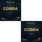 Kit 2 Encordoamento Ukulelê Giannini Cobra Concert Soprano GEUKSC Nylon