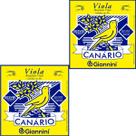 Kit 2 Encordoamento Viola Giannini Canário GESVBL Aço Cebolão Em Mi Leve Kit 2 Encordoamento Viola Giannini Canário GESVBL Aço Cebolão Em Mi Leve