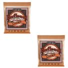 Kit 2 Encordoamentos Violão Aço 011 Ernie Ball Earthwood Tensão Leve