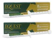 Kit 2 Equest 12,2g Moxidectina 2% Vermífugo P/ Cavalo Zoetis
