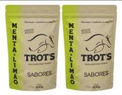 Kit 2 erva mate terere premium trots sabor menta & limão - kit trots