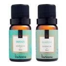 Kit 2 Essencias Aromatizantes 10ml Clássica Aroma Bamboo e Breeze Aromática para Difusor