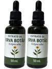 Kit 2 Extrato de Erva Botão Ecipta Alba 50 ML Canteiro de Ervas.
