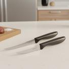 Kit 2 Facas Para Cortar Frutas Legumes Aço Inox 23cm e 18,5cm RT Kit 2 Facas Para Cortar Frutas Legumes Aço Inox 23cm e 18,5cm RT