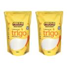 Kit 2 Farinha De Trigo Tipo 1 Orgânica Sem Soja Ecobio 1Kg