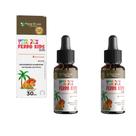 Kit 2 Ferro Kids 2x30 ml Morango Vita Rex Floral Ervas