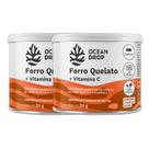 Kit 2 Ferro Quelato Bisglicinato 60 caps 400mg - Ocean Drop