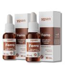 KIT 2 Ferro Ydrosolv 30ml Yosen