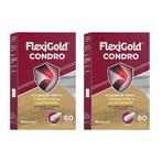 Kit 2 Flexigold Condro Colágeno Tipo 2 Condroitina 60 Caps