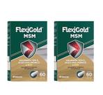 Kit 2 Flexigold Msm Colágeno Tipo 2 + Ácido Hialurônico