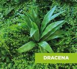 Kit 2 Folhagens Plástico Decora Artificial Jardim Vertical