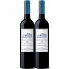 Kit 2 Garrafas Vinho Tinto Bons Ventos 750ml