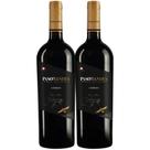 Kit 2 Garrafas Vinho Tinto Chile Kinast Family Wines Paso de Los Andes Carmenere 750ML Kit 2 Garrafas Vinho Tinto Chile Kinast Family Wines Paso de Los Andes Carmenere 750ML
