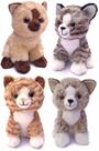 Kit 2 Gato De Pelúcia Olho Com Brilho 20cms - Cores Sortidas