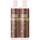 Kit 2 Gelatina Ativadora Apse Apice Crespo Power Umidificadora Cabelo Profissional Vegano 300ml