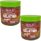 Kit 2 Gelatina Capilar Melancia Skala Proteção Térmica 550g