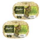 Kit 2 Graminha Para Gatos Green Digestiva Grass Ipet 50g