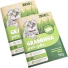 Kit 2 Graminhas Grama Para Gatos Comestível Auxilia na Digestão e Eliminação De Pelos Zoe Pet