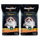 Kit 2 Granulado Higiênico de Madeira PowerCat Premium 2,5kg