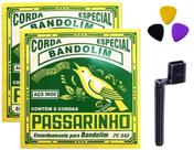Kit 2 Jogos Cordas Bandolim Bolinha Passarinho Pe 940 e Aces