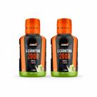 Kit 2 l carnitina limão energia e alta performace 500ml Kit 2 l carnitina limão energia e alta performace 500ml