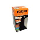 Kit 2 Lâmpada Led Alta Potência Foxlux 50W 6500K Branca Fria Kit 2 Lâmpada Led Alta Potência Foxlux 50W 6500K Branca Fria