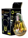 Kit 2 Lâmpadas Filamento De Led Bulbo G45 Vintage Retro E27 Bivolt 2W
