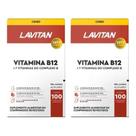 Kit 2 Lavitan Vitamina B12 Complexo B 100 Comprimidos Kit 2 Lavitan Vitamina B12 Complexo B 100 Comprimidos