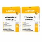 Kit 2 Lavitan Vitamina D 2000 UI 30 Comprimidos Suplemento Alimentar Uso Diário Kit 2 Lavitan Vitamina D 2000 UI 30 Comprimidos Suplemento Alimentar Uso Diário