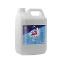 Kit 2 limpa vidros viver bem clean glass 5l profissional
