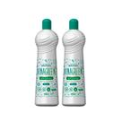 Kit 2 Limpador Multiuso Vinagre Hipoalergênico 500ml Vinagreen