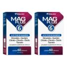 Kit 2 Mag Plus 6 Herbamed Alto Teor De Magnésio 60 Cápsulas