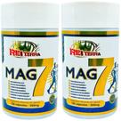Kit 2 Magnésio 7 em 1 240cápsulas - Rei Terra