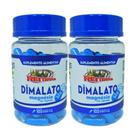 Kit 2 Malato de Magnésio 500mg 100 Cápsulas - Rei Terra