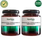 Kit 2 Mel Composto Própolis, Eucalipto, Gengibre e Romã 300g