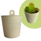 Kit 2 Mini Vasinho Arandela - Vaso de Parede Decorativo