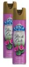 kit 2 ODORIZANTE AMBIENTE COALA AERO Flor de Cacto 400ML