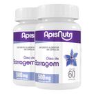 Kit 2 Óleo de Borragem 500mg Apisnutri 60 cápsulas