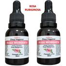 Kit 2 Óleo De Rosa Mosqueta RUBIGINOSA 100% Puro 60ml