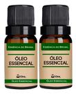 Kit 2 Óleos Essenciais 10ml - Benjoim + Hortelã Pimenta Kit 2 Óleos Essenciais 10ml - Benjoim + Hortelã Pimenta