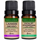 Kit 2 Óleos Essenciais 10ml - Lavandim + Eucalipto