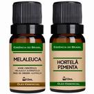 Kit 2 Óleos Essenciais 10ml - Melaleuca + Menta Piperita