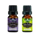 Kit 2 Óleos Essenciais Chamel Melaleuca Tea Tree e Lavanda